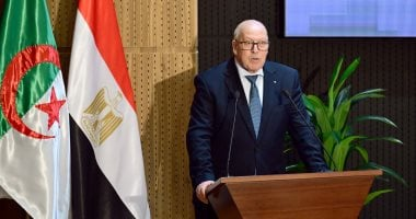 إرادة مشتركة بين مصر والجزائر نحو مستوى استراتيجي جديد