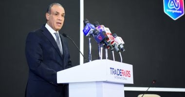 الخارجية: القاهرة حريصة على المشاركة الفاعلة في الشأن اللبناني