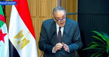 أحمد الوكيل: استثمارات مصر بالجزائر تتجاوز 5 مليارات دولار ونزيدها
