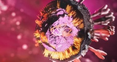 فيروس ماربورج: معلومات أساسية وطرق الوقاية