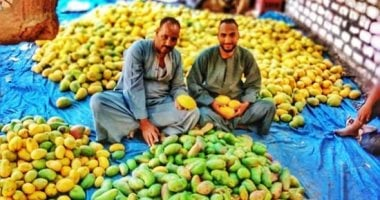 أسعار الفاكهة في بورسعيد الخميس 27 نوفمبر