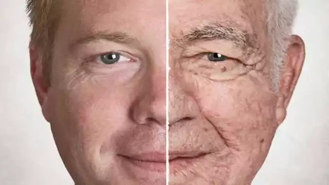 دراسة تقترح طريقة لإبطاء شيخوخة الدماغ