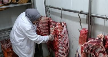 سعر كيلو اللحمة في كفر الشيخ الجمعة 28 نوفمبر 2025