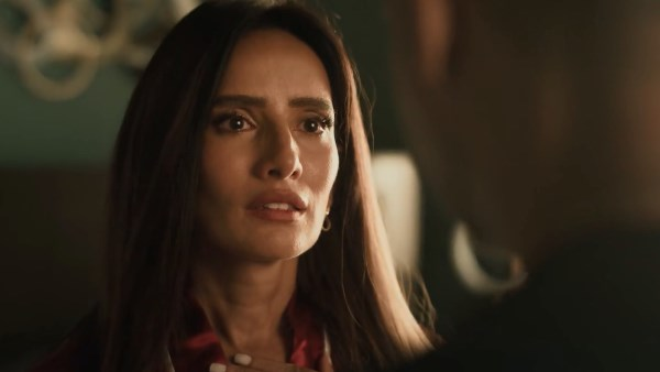 تحذير من ألواح البروتين يوميًا.. ورد وشوكولاتة يفتح ملف الأذى الزوجي