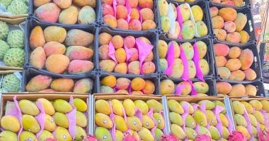 أسعار التفاح والخضروات والفاكهة في قنا اليوم السبت