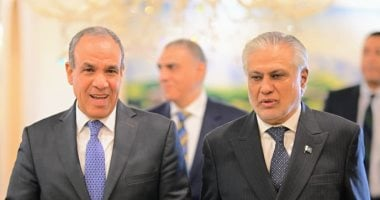 وزير الخارجية يعرض تجربة مصر في مكافحة الإرهاب