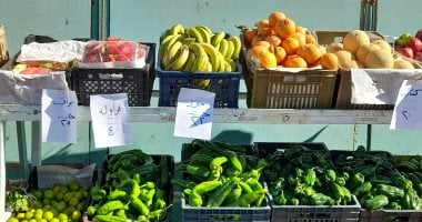 سعر الطماطم والبطاطس في أسواق الأقصر