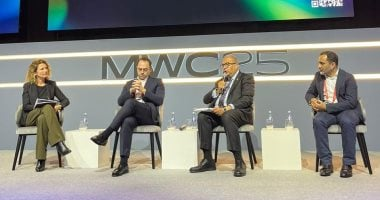 محيي الدين: التحول الرقمي يتطلب شجاعة في السياسات وشراكات قوية