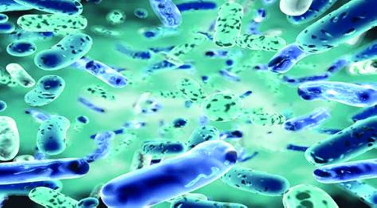 بكتيريا تدعي أنها ميتة - أفكار جديدة