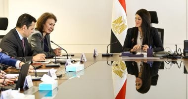 المشاط: وحدة للشركات المملوكة بصلاحيات لتعظيم أصول الدولة