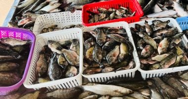 أسعار الأسماك في مطروح 7-12-2025: المرجان 170 جنيه