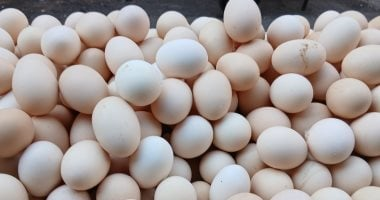 بيض بلاستيكي مزيف: إزاي تفرق بينه وبين الحقيقي