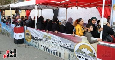 انتخابات النواب: بدء اقتراع المصريين بالخارج من 30 دائرة ملغاة بأحكام القضاء