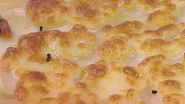 جلاش بالسبانخ بطعم لا يقاوم