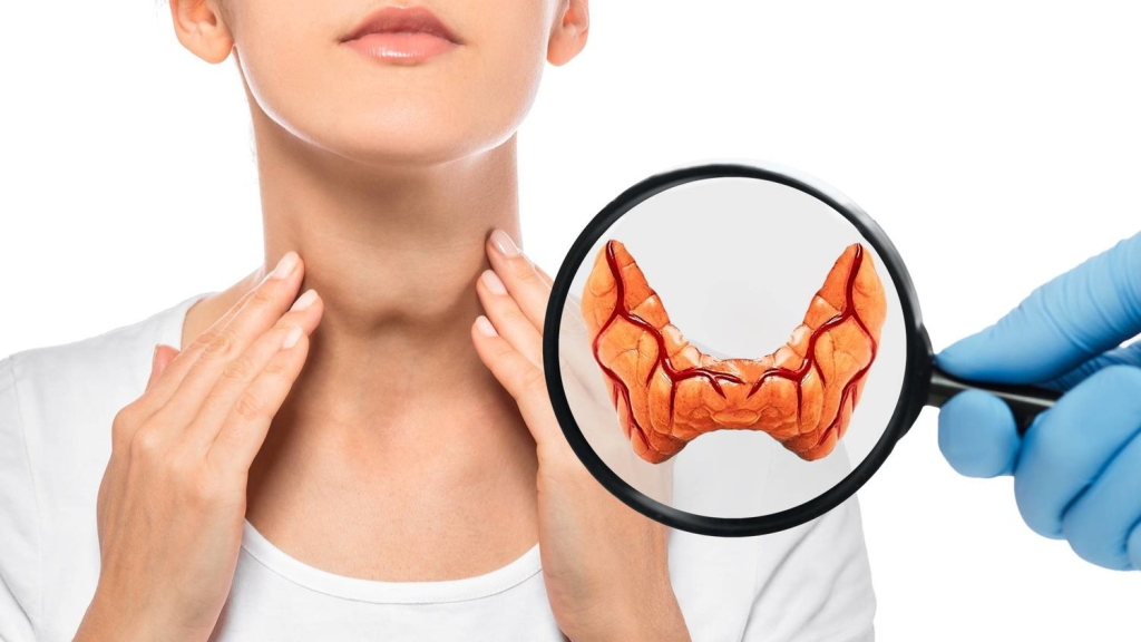 الأسباب والأعراض: كل ما تريد معرفته عن اضطرابات الغدة الدرقية
