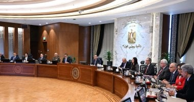 مجلس الوزراء يوافق على استكمال طرح محطات توليد الكهرباء بجبل الزيت