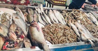 البلطي في السوق.. سعر السمك في القليوبية اليوم 10-12-2025