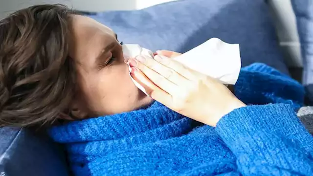 4 مشروبات تقوي المناعة وتقيك من الفيروسات