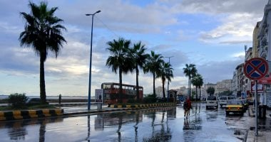 إرشادات الحماية من مخاطر الصعق الكهربائي أثناء سقوط الأمطار