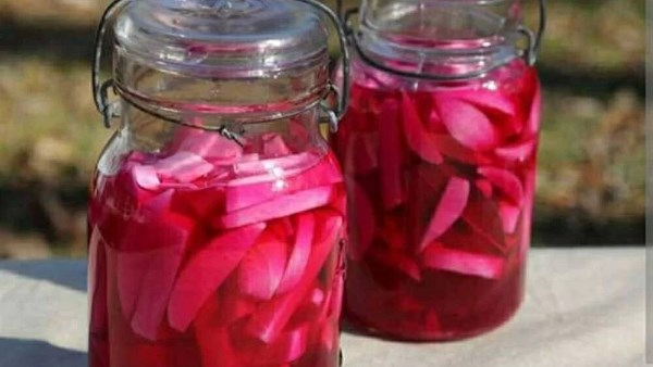 تخليل اللفت في موسمه كالمحلات