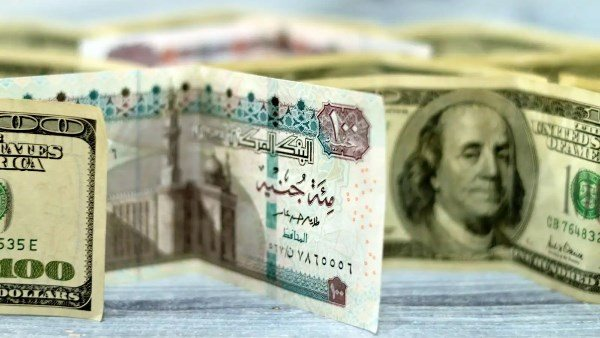 سعر الدولار مقابل الجنيه في ختام تعاملات الخميس 11 ديسمبر 2025