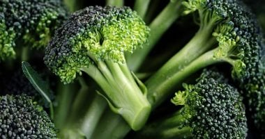 أطعمة تقوي مناعتك في الطقس البارد يوصي بها أخصائيو التغذية