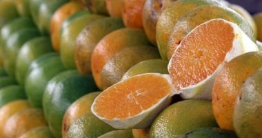 حمية الشتاء: 7 أطعمة تقوي المناعة في البرد