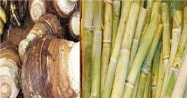 5 فوائد لشرب عصير القصب في الشتاء والكمية المناسبة