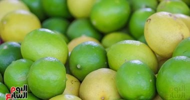 النوبة الصمغية: كيف تؤثر على أسعار الليمون مستقبلاً؟