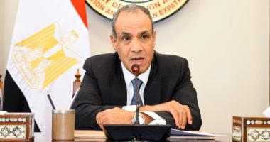 وزير الخارجية يؤكد لميلادينوف رفض مصر لتهجير الفلسطينيين