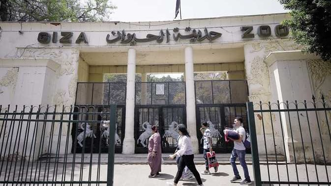 موعد افتتاح حديقة حيوان الجيزة بعد التجديد وتحولها لوجهة عالمية