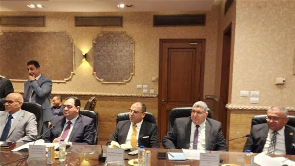 الجمارك المصرية والكورية تناقشان تعزيز التحول الرقمي وتبادل الخبرات