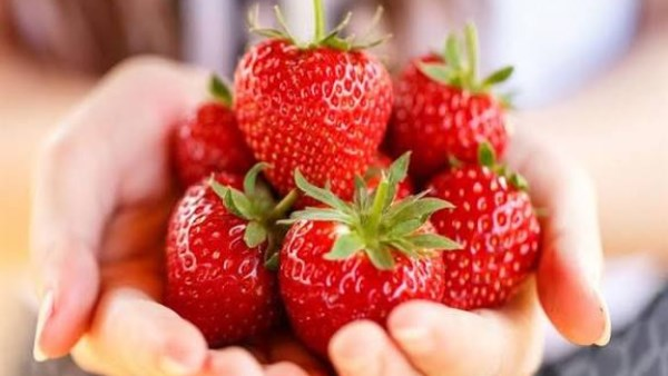 ماذا يحدث عند تناول الفراولة يومياً في موسمها؟