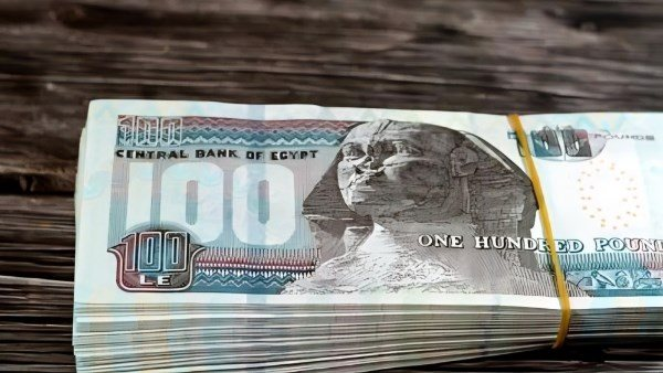 المالية تحدد خريطة صرف رواتب ديسمبر 2025 لموظفي الدولة