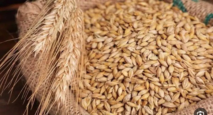 سعر طن الأرز الشعير في الأسواق اليوم الأحد 14 ديسمبر 2025