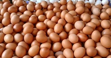 سعر طبق بيض أبيض بالقليوبية الأحد 14 – 12 – 2025: 114 جنيها