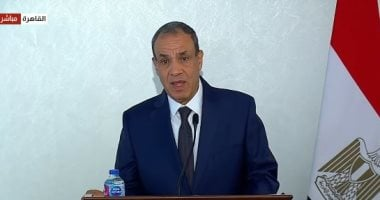 وزير الخارجية: مصر ترفض أي خطوات لتكريس الانفصال بين الضفة وغزة