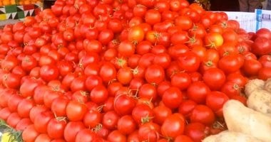 الطماطم بـ5 جنيهات والبطاطس بـ7 جنيهات في أسواق الأقصر اليوم الإثنين