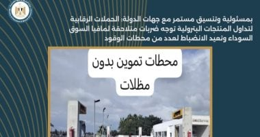 حملات رقابية على تداول البترول توجه ضربات للمافيا السوداء