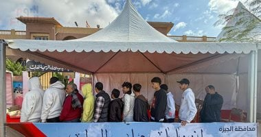 فتح لجان تصويت المصريين في لوس أنجلوس بجولة إعادة انتخابات النواب