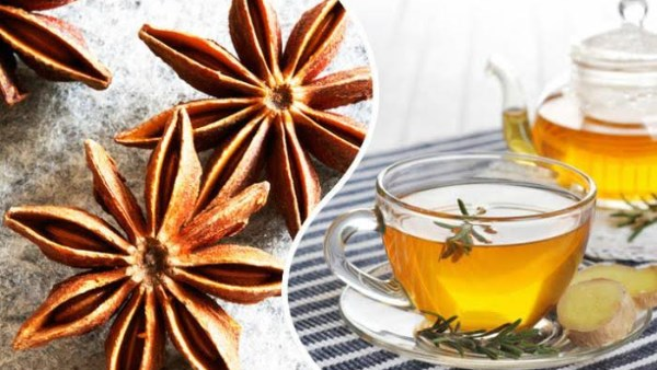 فوائد شرب اليانسون يوميا للجهاز الهضمي والمناعي والتنفسي