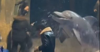 حقيقة أم AI؟ حوت أبيض يفاجئ شابًا ويطفئ سيجارته برش الماء عليه