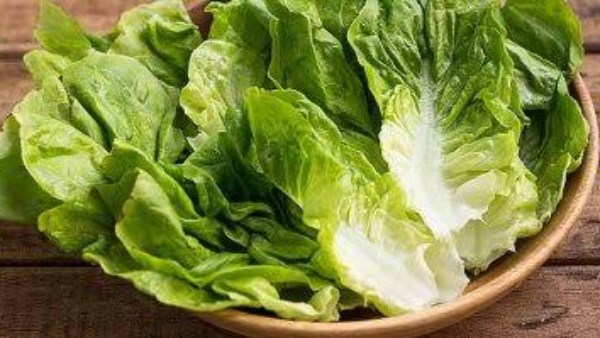 فوائد الخس غير المتوقعة لصحة أفضل ورؤية أوضح