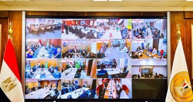 التنمية المحلية: انتظام التصويت في لجان انتخابات مجلس النواب