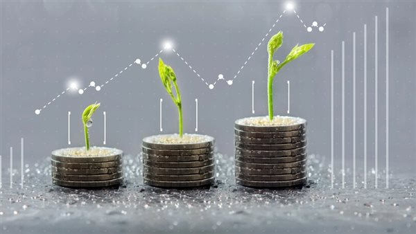 بشرى ساري ترصد رسالة طمأنة جديدة للمستثمرين في توقيت حاسم