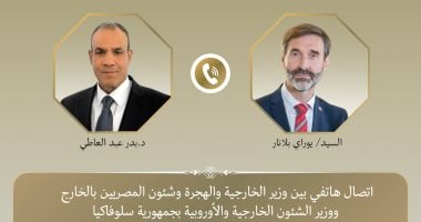 وزير الخارجية يؤكد ضرورة استدامة وقف إطلاق النار فى غزة