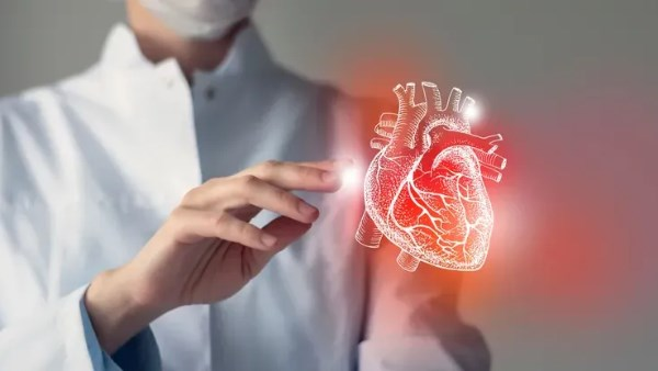 مع تقدم العمر: كيف تحافظ على صحة قلبك؟