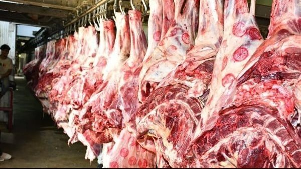 البتلو بـ 400 جنيه.. أسعار اللحوم الخميس 18 ديسمبر 2025 في الأسواق