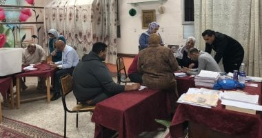 الجرواني يتصدر نتائج إعادة انتخابات بدائرة قسم أول طنطا