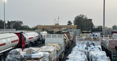 نائب الرئيس التركي يثمن دور مصر في وقف الحرب على قطاع غزة